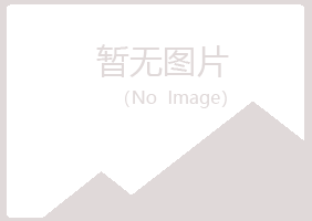 铁岭清河盼夏计算机有限公司